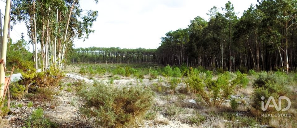 Terrain agricole à Pataias e Martingança de 27 108 m²