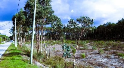 Terrain agricole à Pataias e Martingança de 27 108 m²
