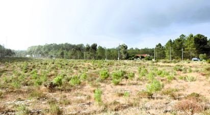 Terrain agricole à Pataias e Martingança de 27 108 m²