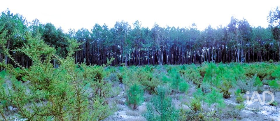 Terrain agricole à Pataias e Martingança de 27 108 m²