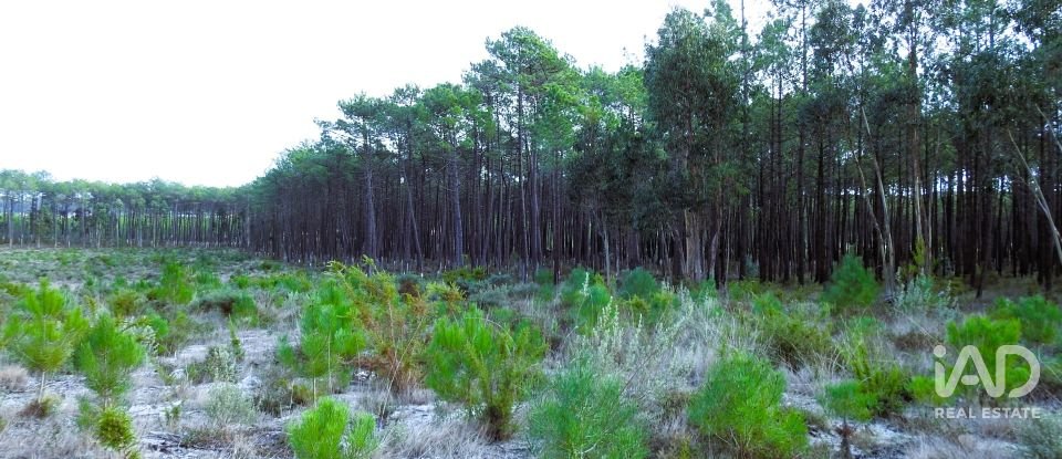 Terrain agricole à Pataias e Martingança de 27 108 m²