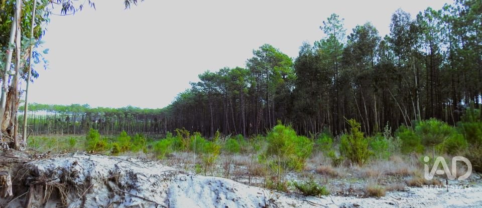 Terrain agricole à Pataias e Martingança de 27 108 m²