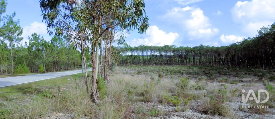 Terrain agricole à Pataias e Martingança de 27 108 m²