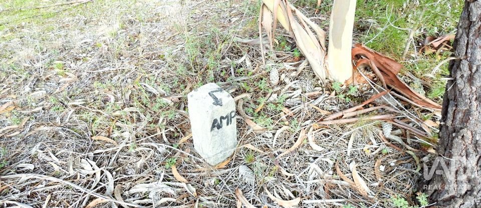 Terrain agricole à Pataias e Martingança de 27 108 m²