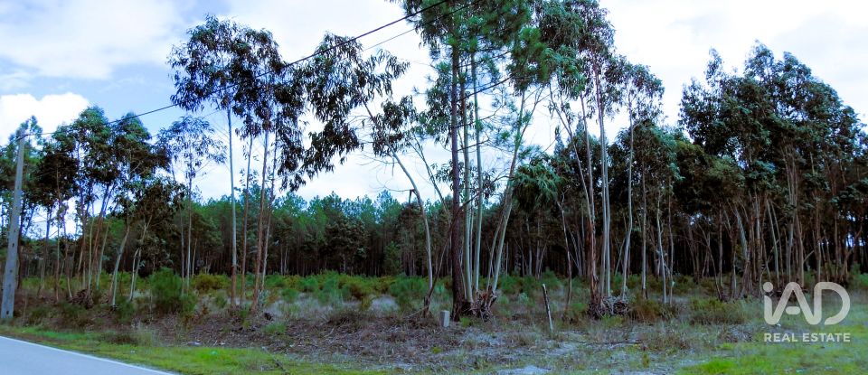 Terrain agricole à Pataias e Martingança de 27 108 m²