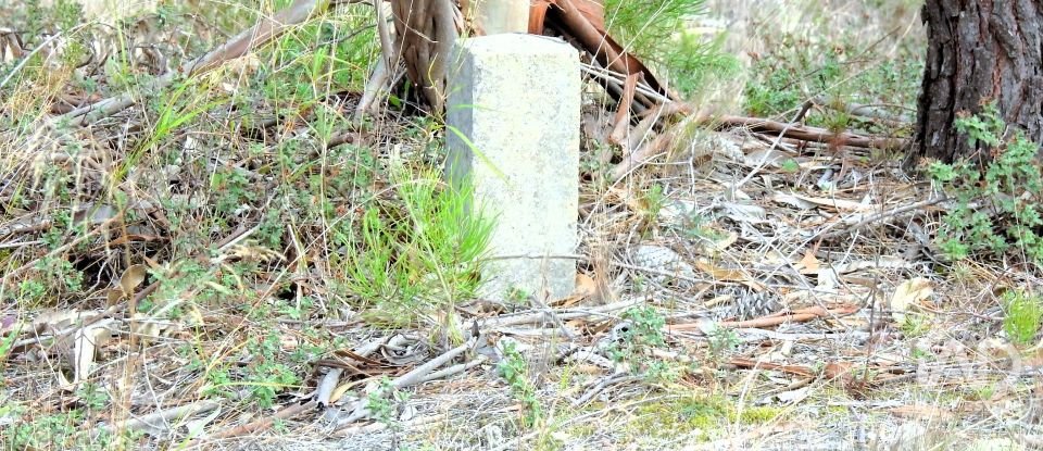 Terrain agricole à Pataias e Martingança de 27 108 m²