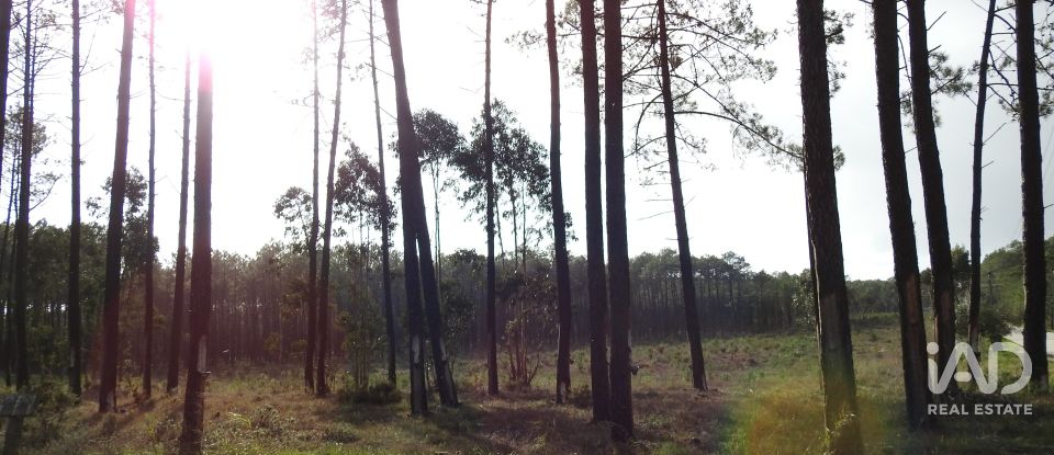 Terrain agricole à Pataias e Martingança de 27 108 m²