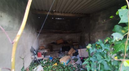 Maison de plain-pied T0 à Bombarral e Vale Covo de 250 m²