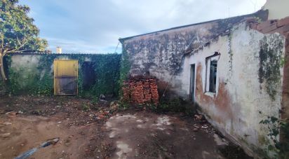 Maison de plain-pied T0 à Bombarral e Vale Covo de 250 m²