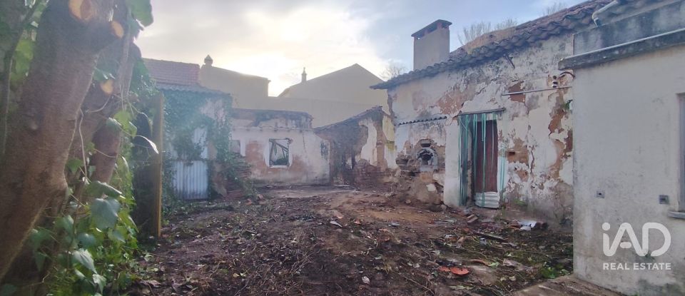 Maison de plain-pied T0 à Bombarral e Vale Covo de 250 m²