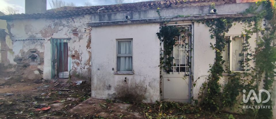 Maison de plain-pied T0 à Bombarral e Vale Covo de 250 m²