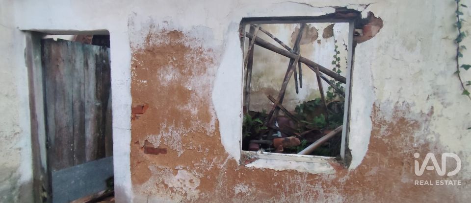 Maison de plain-pied T0 à Bombarral e Vale Covo de 250 m²