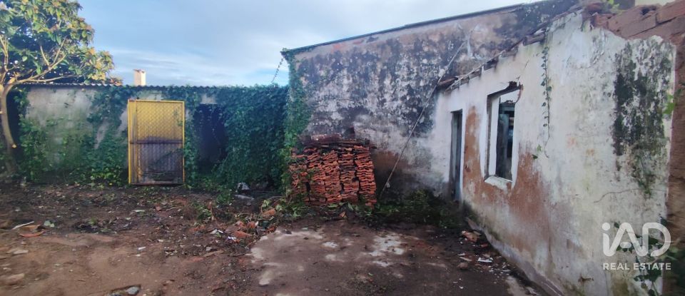 Maison de plain-pied T0 à Bombarral e Vale Covo de 250 m²