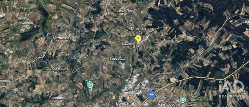 Maison de plain-pied T0 à Bombarral e Vale Covo de 250 m²