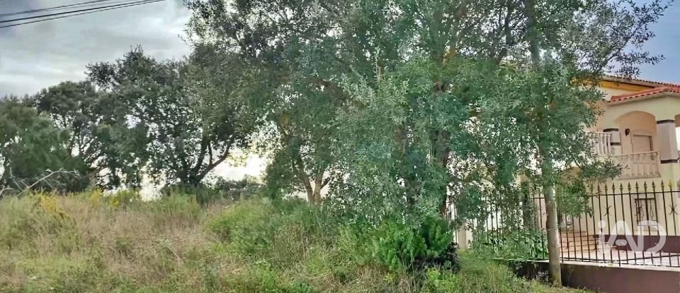 Terrain mixte à Caldas da Rainha - Nossa Senhora do Pópulo, Coto e São Gregório de 7 880 m²