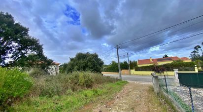 Terrain mixte à Caldas da Rainha - Nossa Senhora do Pópulo, Coto e São Gregório de 7 880 m²