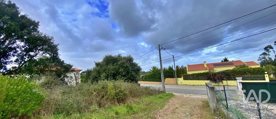 Terrain mixte à Caldas da Rainha - Nossa Senhora do Pópulo, Coto e São Gregório de 7 880 m²