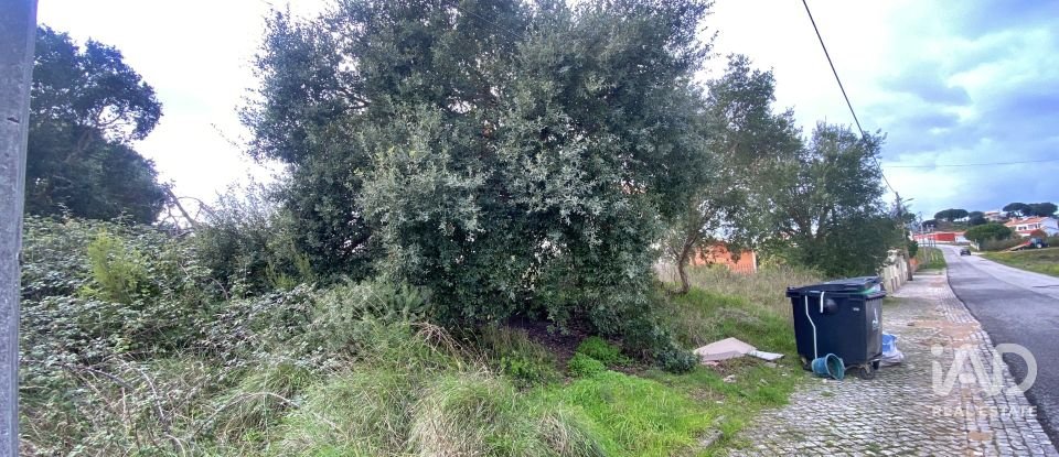 Terrain mixte à Caldas da Rainha - Nossa Senhora do Pópulo, Coto e São Gregório de 7 880 m²