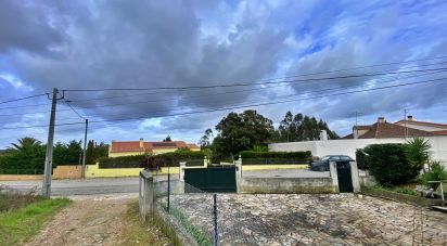 Terrain mixte à Caldas da Rainha - Nossa Senhora do Pópulo, Coto e São Gregório de 7 880 m²