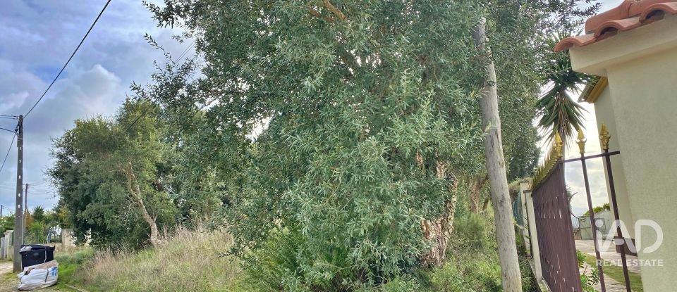 Terrain mixte à Caldas da Rainha - Nossa Senhora do Pópulo, Coto e São Gregório de 7 880 m²