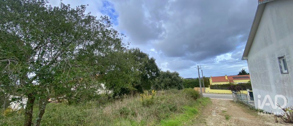 Terrain mixte à Caldas da Rainha - Nossa Senhora do Pópulo, Coto e São Gregório de 7 880 m²