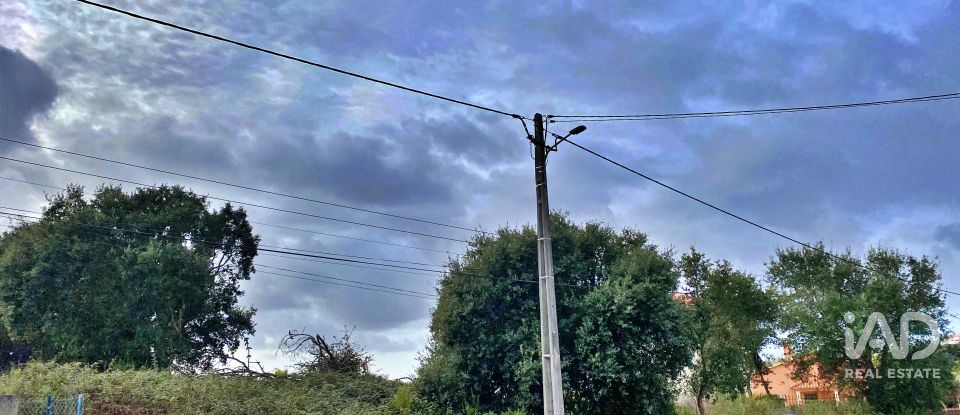 Terrain mixte à Caldas da Rainha - Nossa Senhora do Pópulo, Coto e São Gregório de 7 880 m²