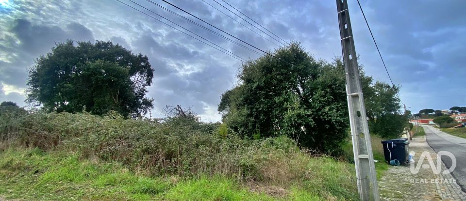 Terrain mixte à Caldas da Rainha - Nossa Senhora do Pópulo, Coto e São Gregório de 7 880 m²