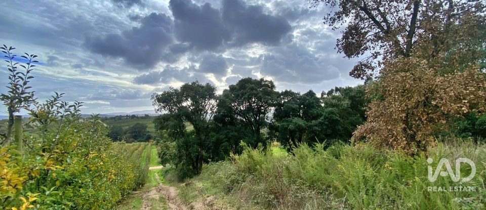 Terrain mixte à Caldas da Rainha - Nossa Senhora do Pópulo, Coto e São Gregório de 7 880 m²