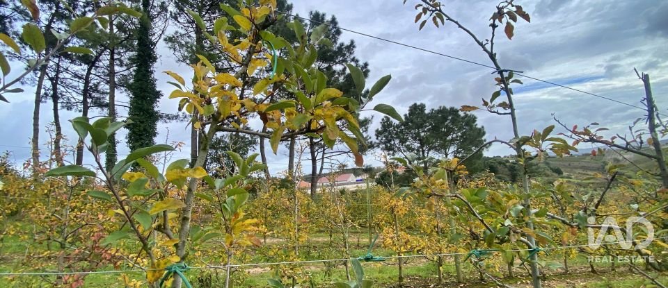 Terrain mixte à Caldas da Rainha - Nossa Senhora do Pópulo, Coto e São Gregório de 7 880 m²