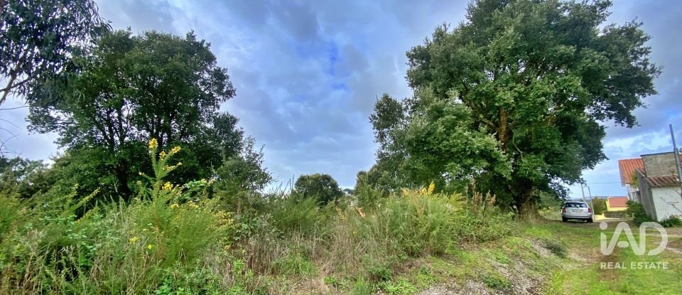 Terrain mixte à Caldas da Rainha - Nossa Senhora do Pópulo, Coto e São Gregório de 7 880 m²