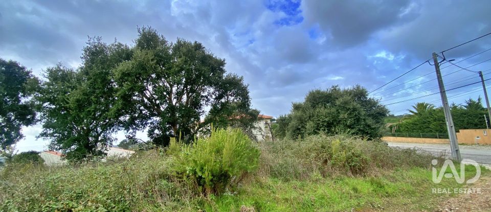 Terrain mixte à Caldas da Rainha - Nossa Senhora do Pópulo, Coto e São Gregório de 7 880 m²