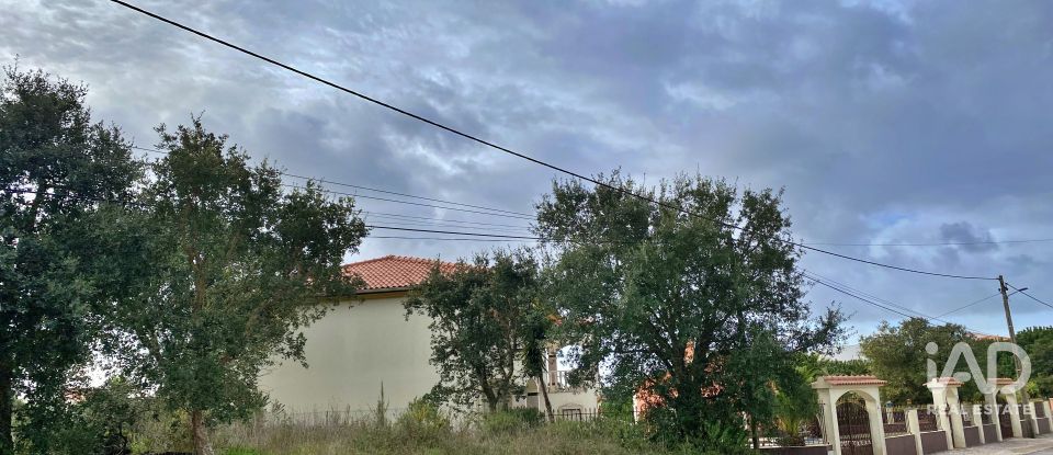Terrain mixte à Caldas da Rainha - Nossa Senhora do Pópulo, Coto e São Gregório de 7 880 m²
