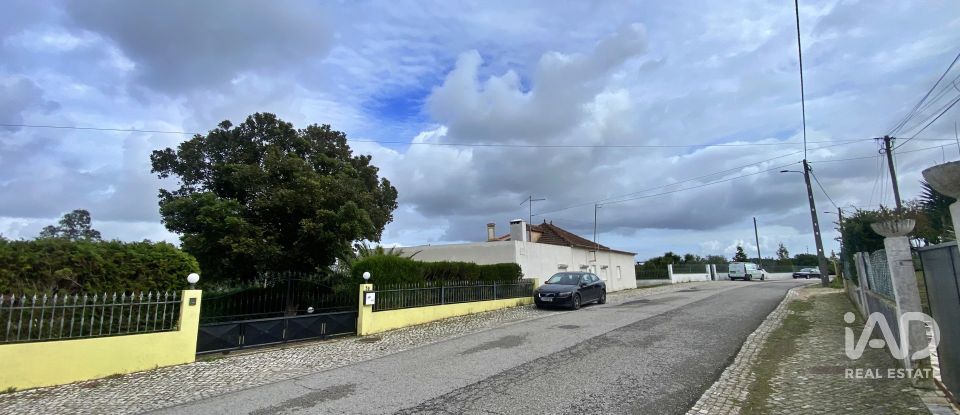 Terrain mixte à Caldas da Rainha - Nossa Senhora do Pópulo, Coto e São Gregório de 7 880 m²