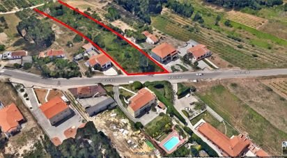 Terrain mixte à Caldas da Rainha - Nossa Senhora do Pópulo, Coto e São Gregório de 7 880 m²