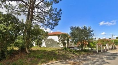 Terrain mixte à Caldas da Rainha - Nossa Senhora do Pópulo, Coto e São Gregório de 7 880 m²