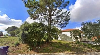 Terrain mixte à Caldas da Rainha - Nossa Senhora do Pópulo, Coto e São Gregório de 7 880 m²