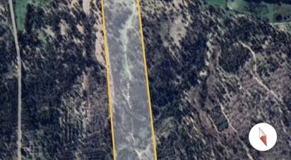 Terrain à Ponte de Sor, Tramaga e Vale de Açor de 80 500 m²