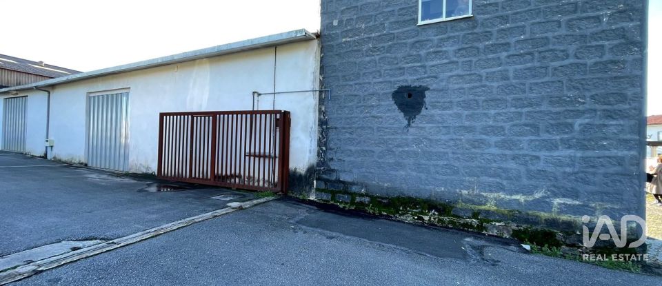 Shop / premises commercial in Manhente of 218 m²