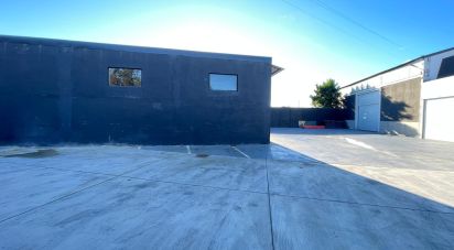 Boutique/Local commercial à Manhente de 230 m²