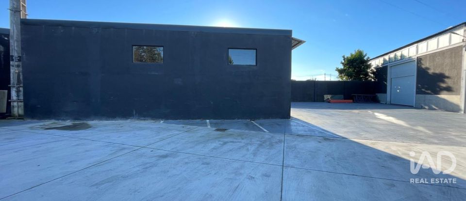 Boutique/Local commercial à Manhente de 230 m²