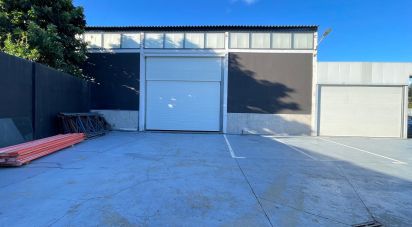 Hangar à Manhente de 198 m²