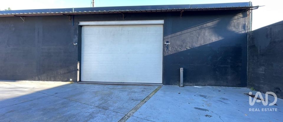 Hangar à Manhente de 198 m²