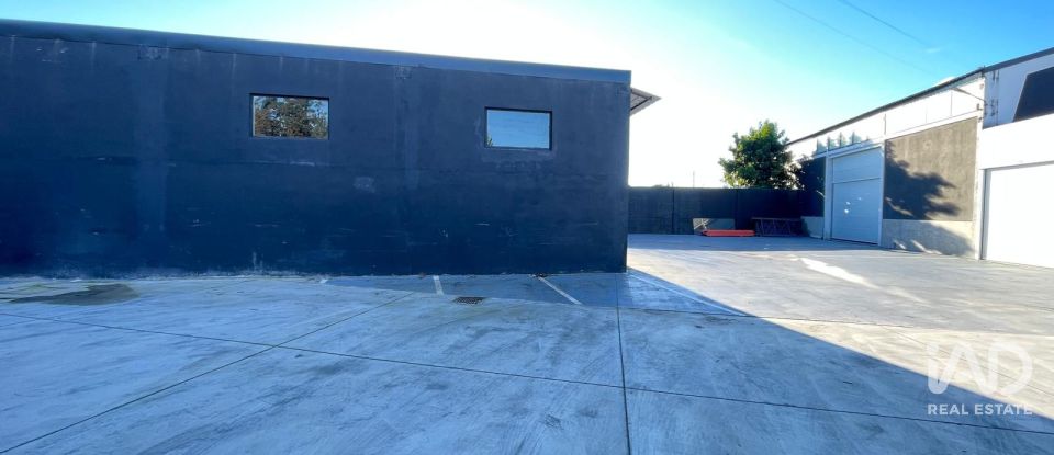 Hangar à Manhente de 198 m²