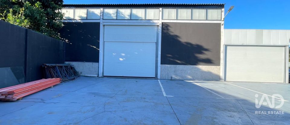 Hangar à Manhente de 198 m²