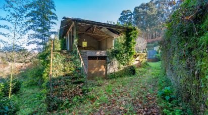 Terrain à Esqueiros, Nevogilde e Travassós de 266 m²