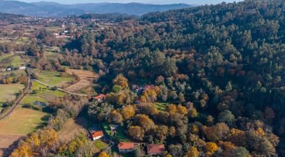 Terrain à Esqueiros, Nevogilde e Travassós de 266 m²