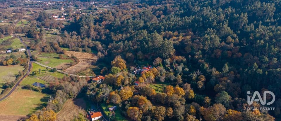 Terrain à Esqueiros, Nevogilde e Travassós de 266 m²