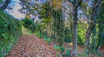 Terrain à Esqueiros, Nevogilde e Travassós de 266 m²