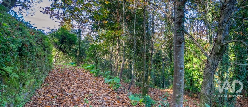 Terrain à Esqueiros, Nevogilde e Travassós de 266 m²