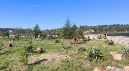 Domaine T0 à Ervedal e Vila Franca da Beira de 1 890 m²